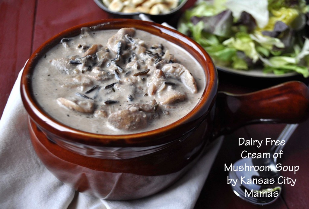 Dairy Free Cream Of Mushroom And Wild Rice Soup Recipe