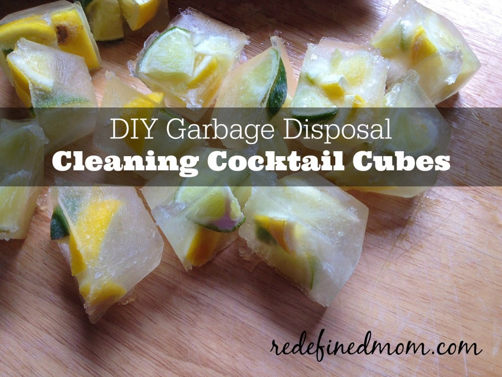 garbage disposal cocktail cubes cover