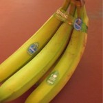 Guest Post: Bananas Made Me Stop and Pause
