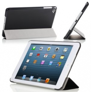 iPad Mini Case or Stand