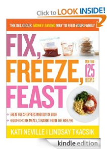 Fix Freeze Feast Ebook