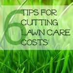 Cutting Lawn Care Costs On a Large Yard
