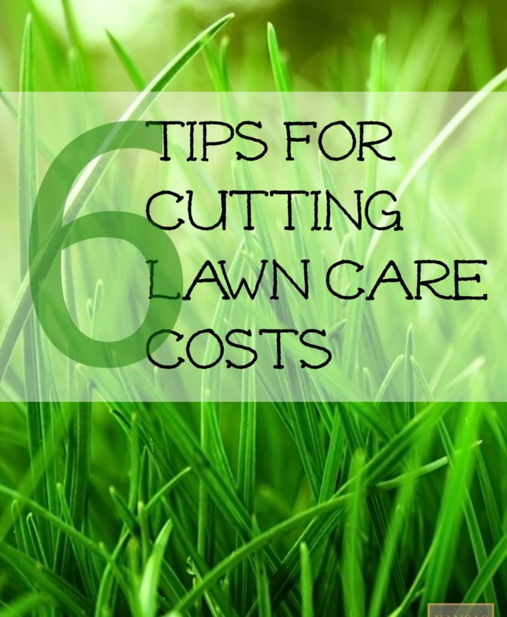 6 Tips For Cutting Lawn Care Costs