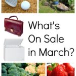 What Is On Sale in March | Retail, Groceries & Produce