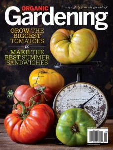 organicgardenaugsep2013