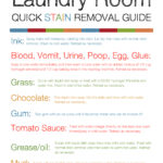 Laundry Room Stain Removal Guide Printable