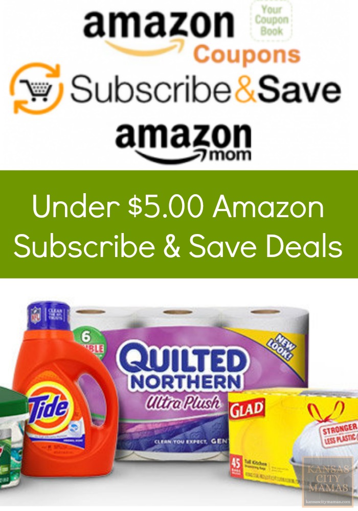 The 8 Best  Subscribe & Save Deals for Parents