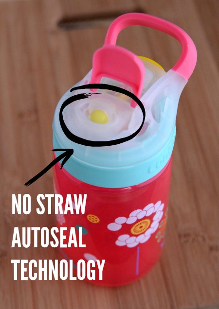 Contigo Gizmo Sip Review {DIE STRAW DIE} and Giveaway {4 Winners}