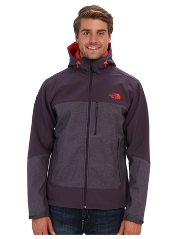 The North Face Apex Bionic Hoodie